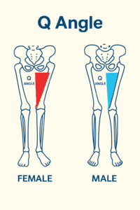 Q angle male vs femal